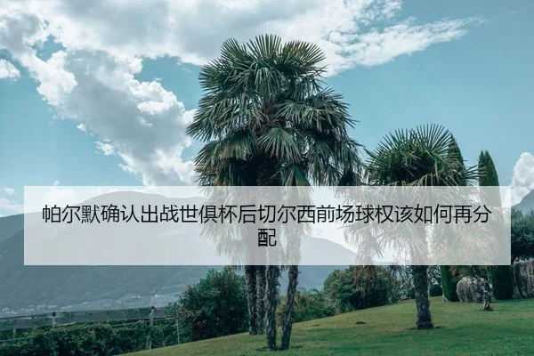 pa-er-mo-que-ren-chu-zhan-shi-ju-bei-hou-qie-er-xi-qian-chang-qiu-quan-gai-ru-he-zai-fen-pei-2-784.jpg