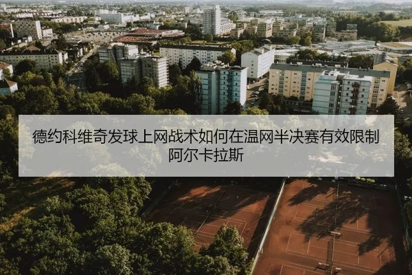 de-yue-ke-wei-qi-fa-qiu-shang-wang-zhan-shu-ru-he-zai-wen-wang-ban-jue-sai-you-xiao-xian-zhi-a-er-ka-la-si-3-669.jpg