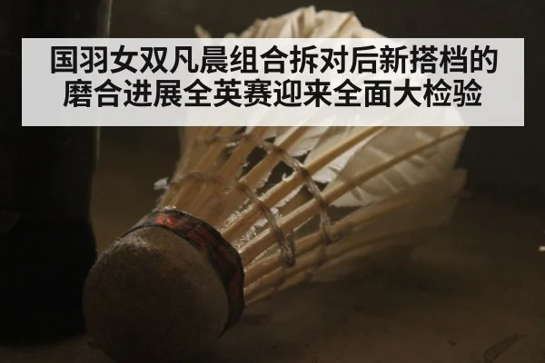 国羽女双凡晨组合拆对后新搭档的磨合进展全英赛迎来全面大检验